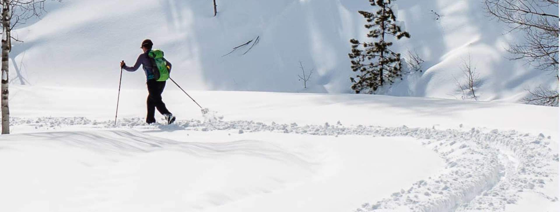 silver_creek_scott_anderson