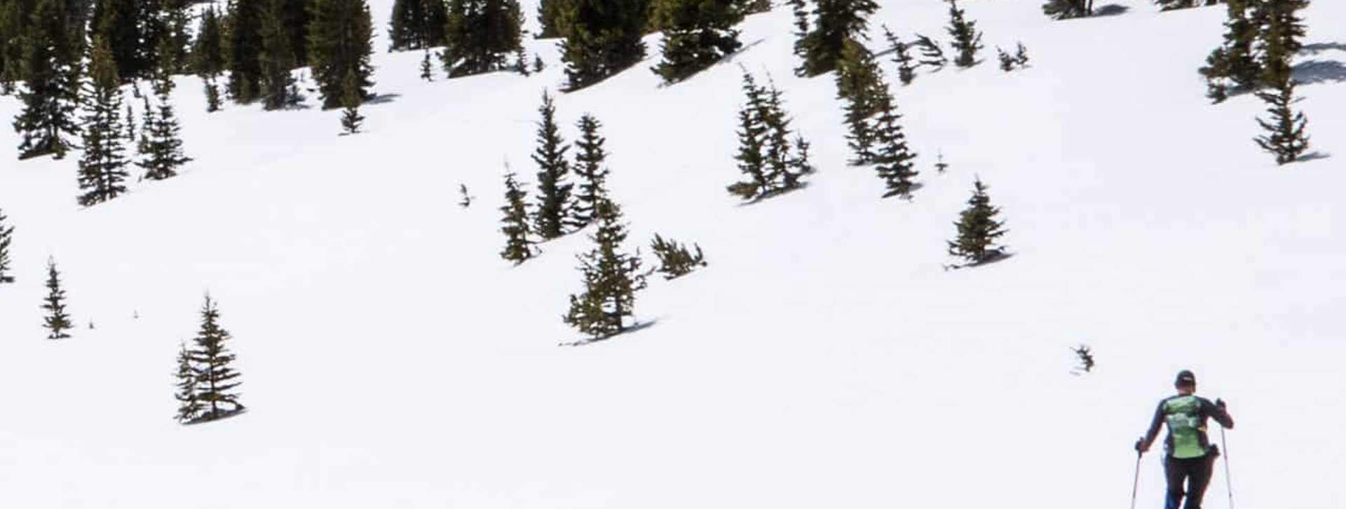 Monarch_Crest_Trail_to_South_Fooses_Creek_scott_anderson_2015_02_26