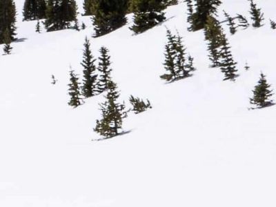 Monarch_Crest_Trail_to_South_Fooses_Creek_scott_anderson_2015_02_26
