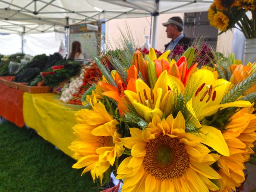 Farmers Market in Buena Vista & Salida, Colorado
