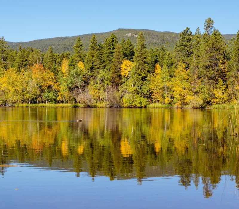 Autumn forest reflected in a calm mountain lake