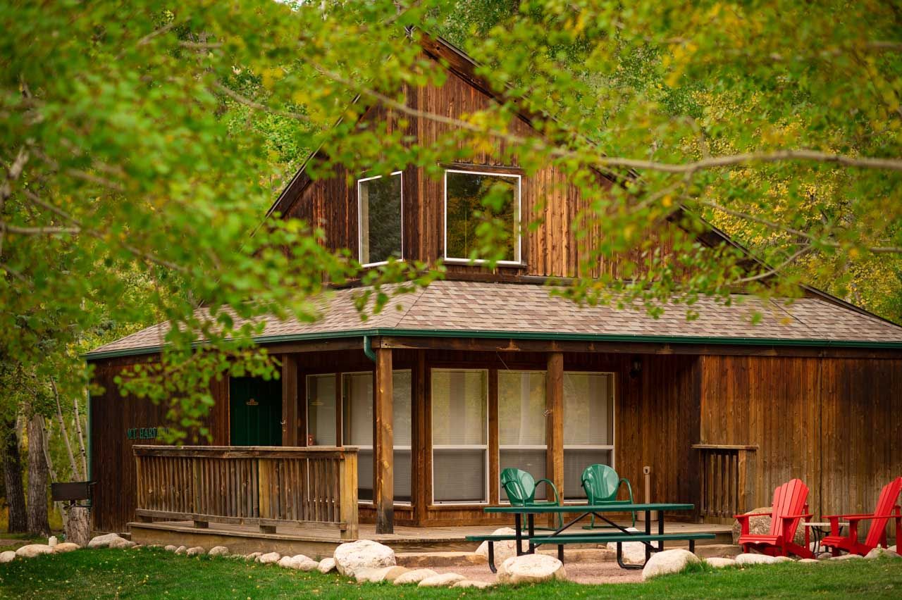 Rustic cabin surrounded by leafy trees.