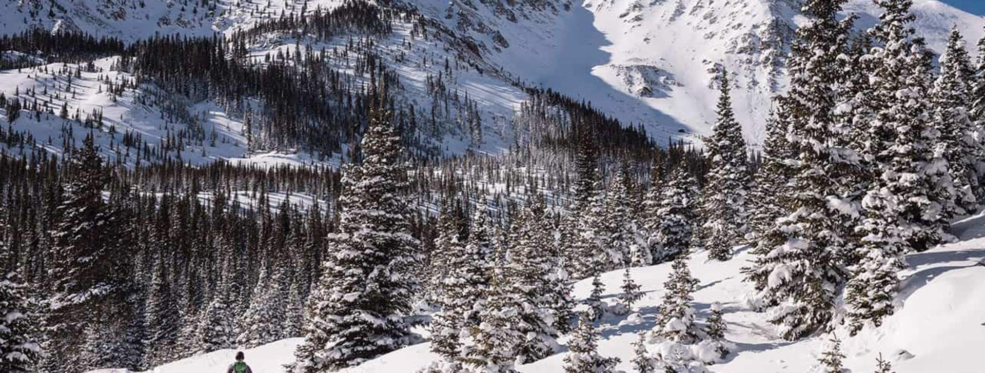 Lost_Wonder_Hut_scott_anderson_2014_12_23