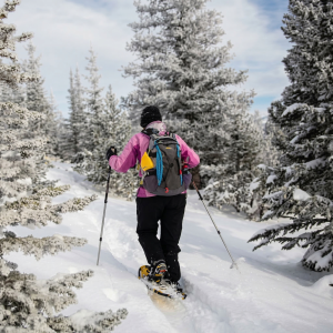 Waterdog_Lakes_scott_anderson_2010_12_27