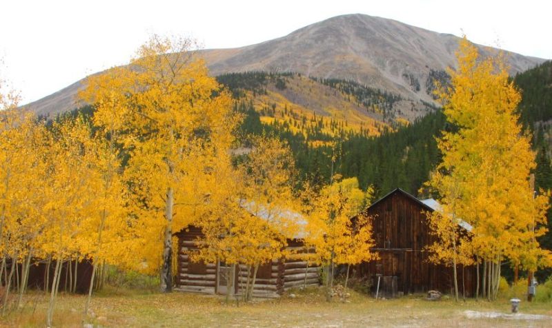 Rustic cabin surrounded by golden aspens beneath mountain