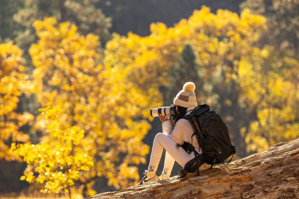 Photographers on tree branches amid golden autumn leaves