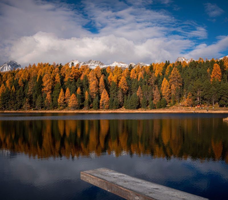 Autumn larches and snow-capped mountains reflected in a lake