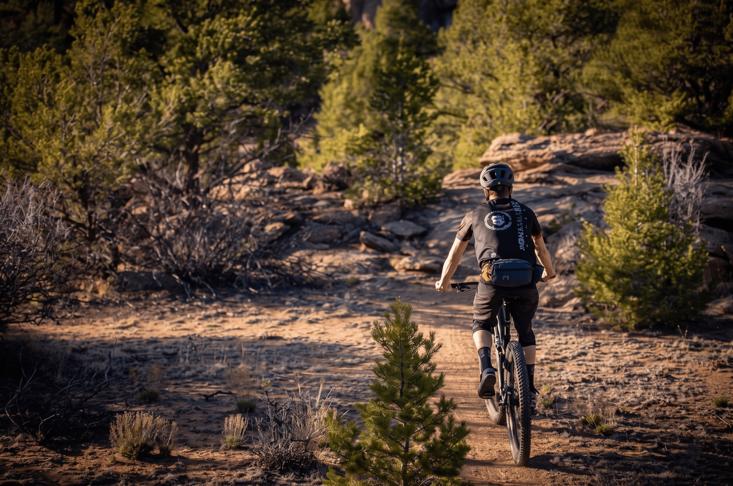 Mountain biker riding rocky forest trail at sunset