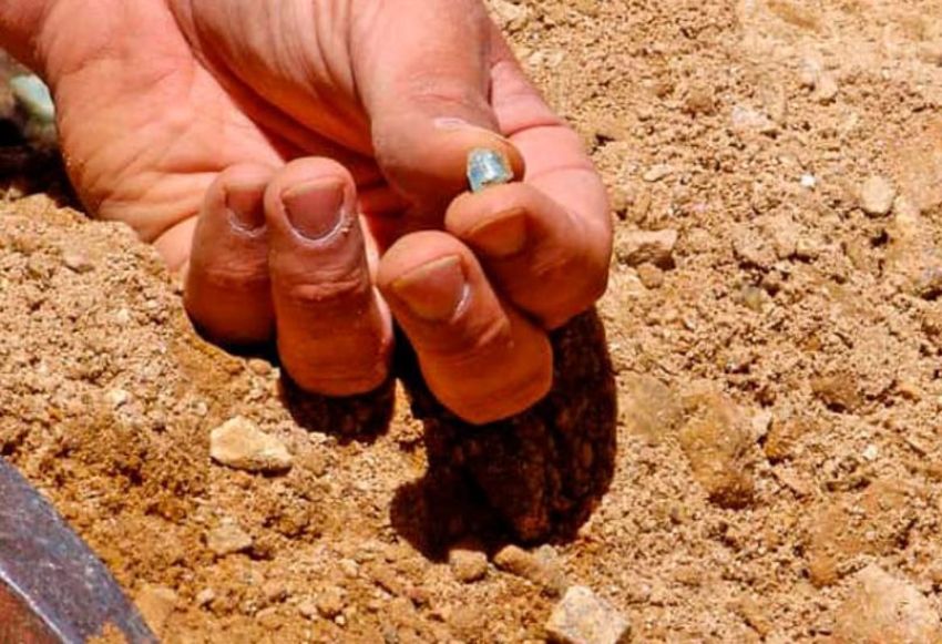 Rock Hounding Gold Panning Buena Vista Salida Colorado