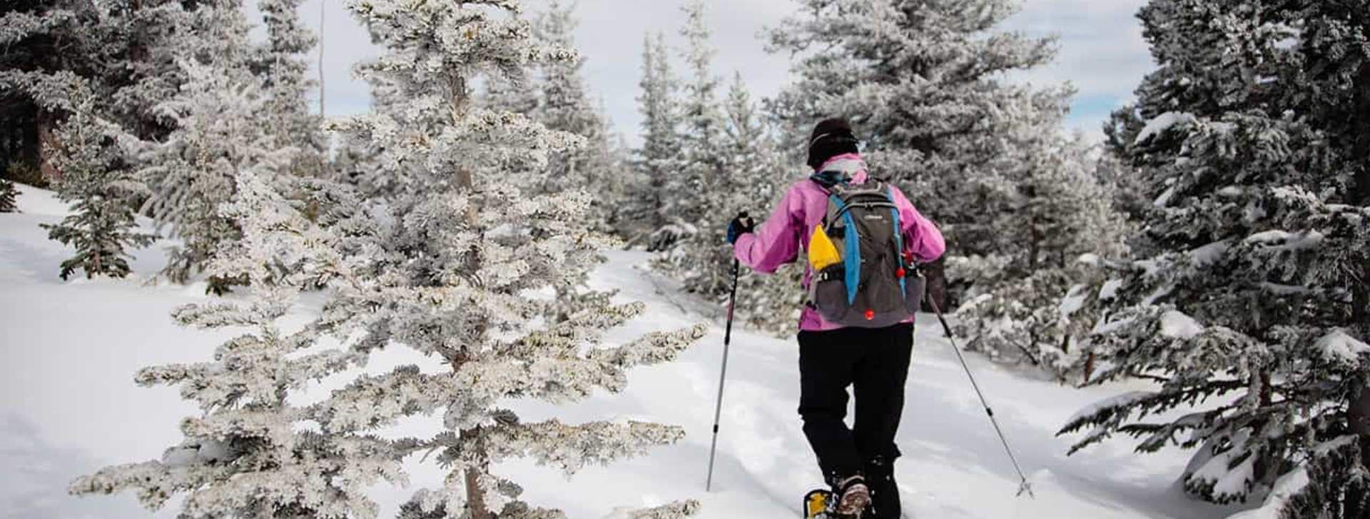 Middle_Fork_Creek_to_the_Lost_Wonder_Hut_scott_anderson_2010_12_27