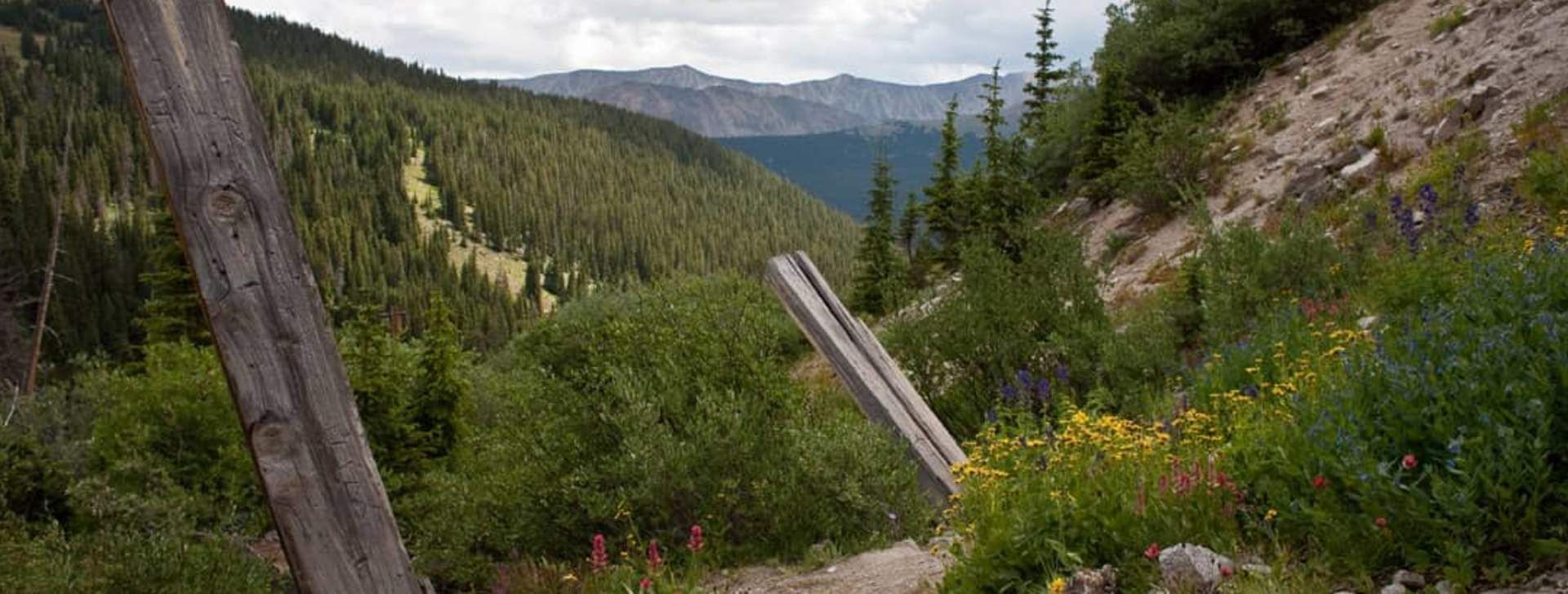 alpine_tunnel_2009_08_06