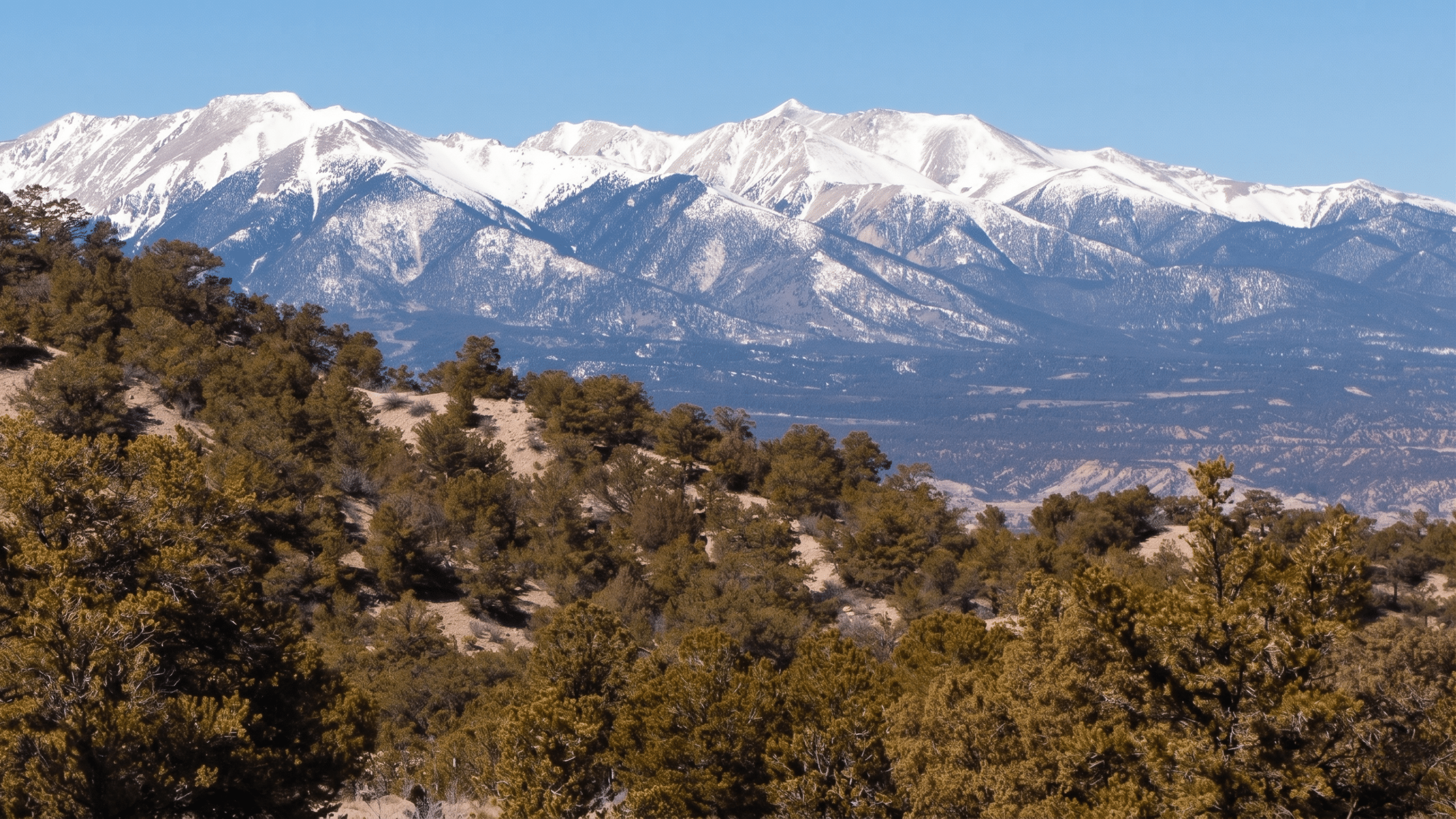 Snow-capped mountains above forested hills under blue sky