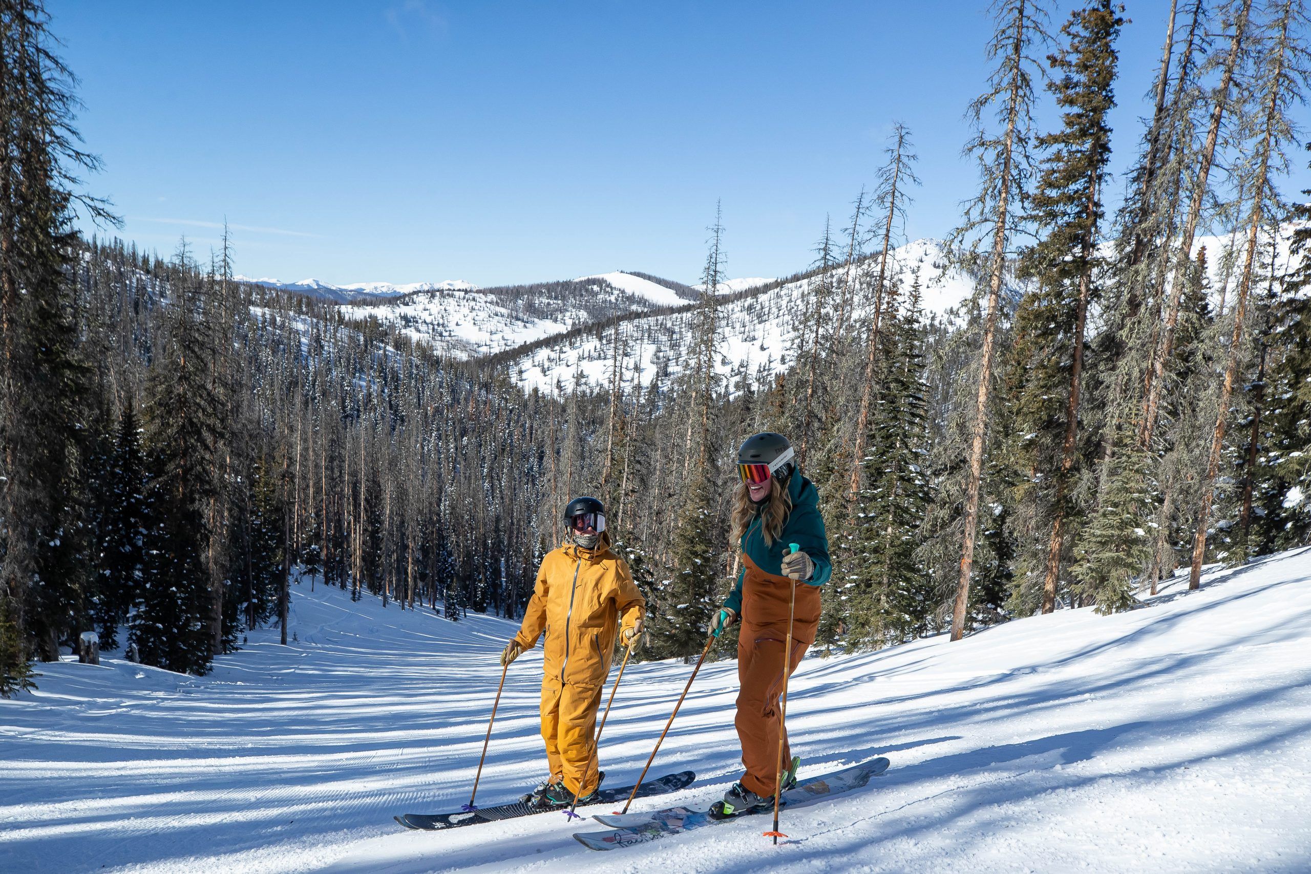 Two skiers on snowy mountain slope with trees.