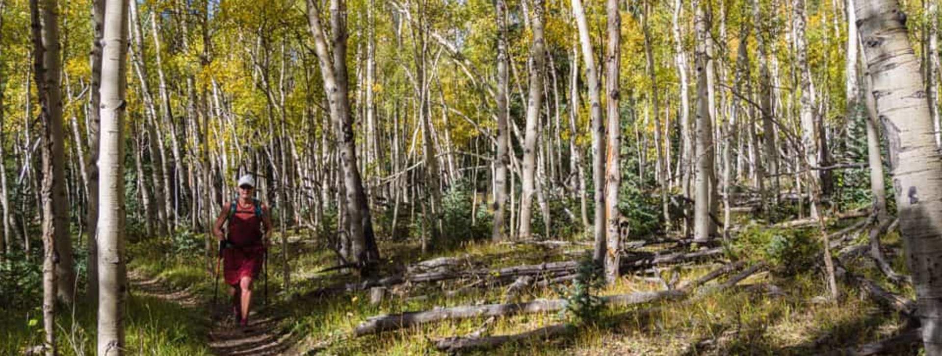 poplar_gulch