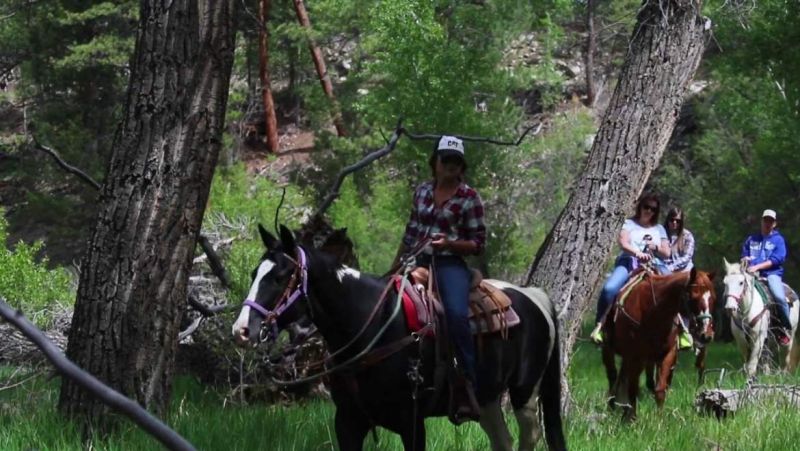Horseback Riding