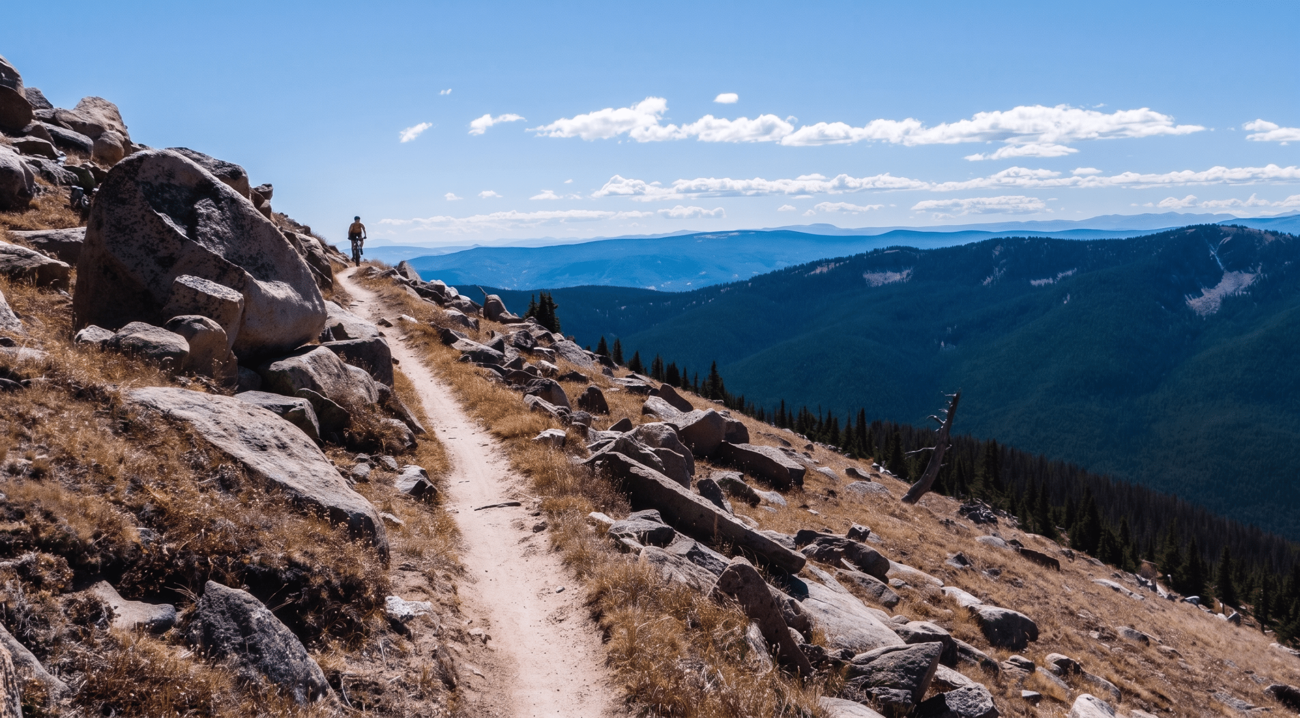 Mountain biker riding rocky trail above forested valley
