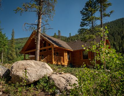Rustic cabin in forest with mountain background.