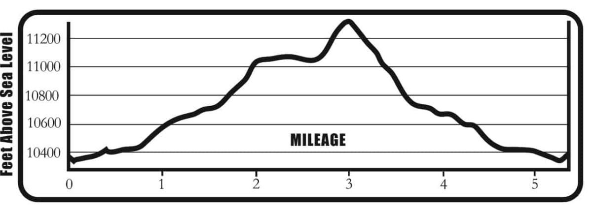 Monarch_Park_Elevations