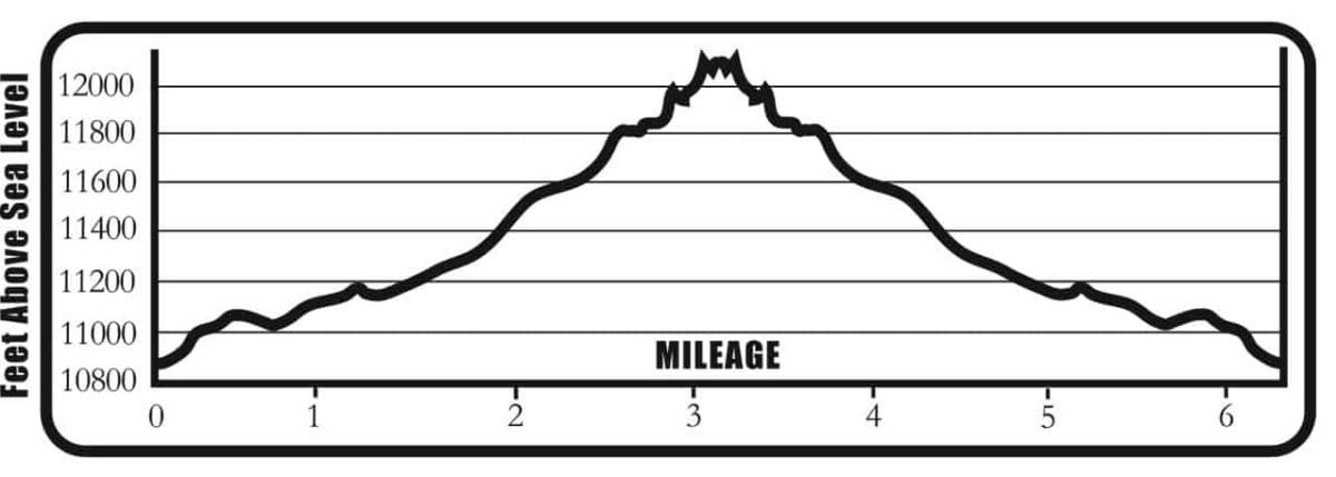 Lost_Wonder_Hut_to_Chalk_Creek_Pass_Elevation
