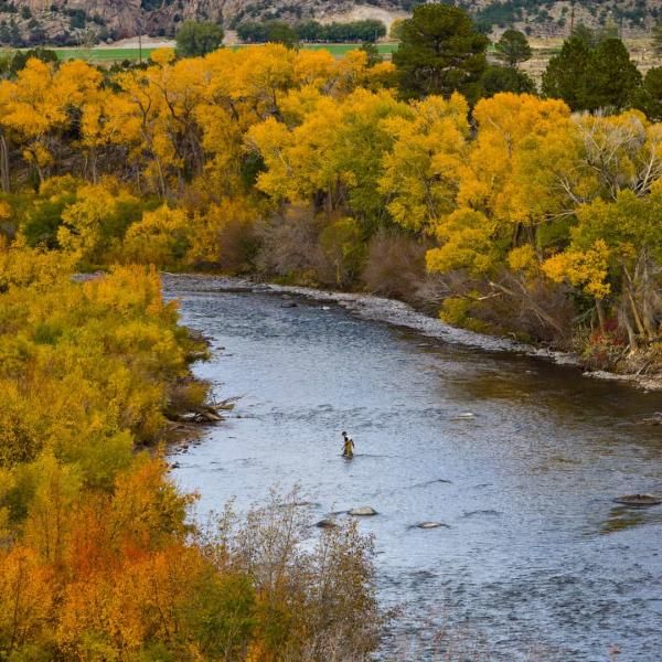 bachelor_bachelorette_05_fly_fishing