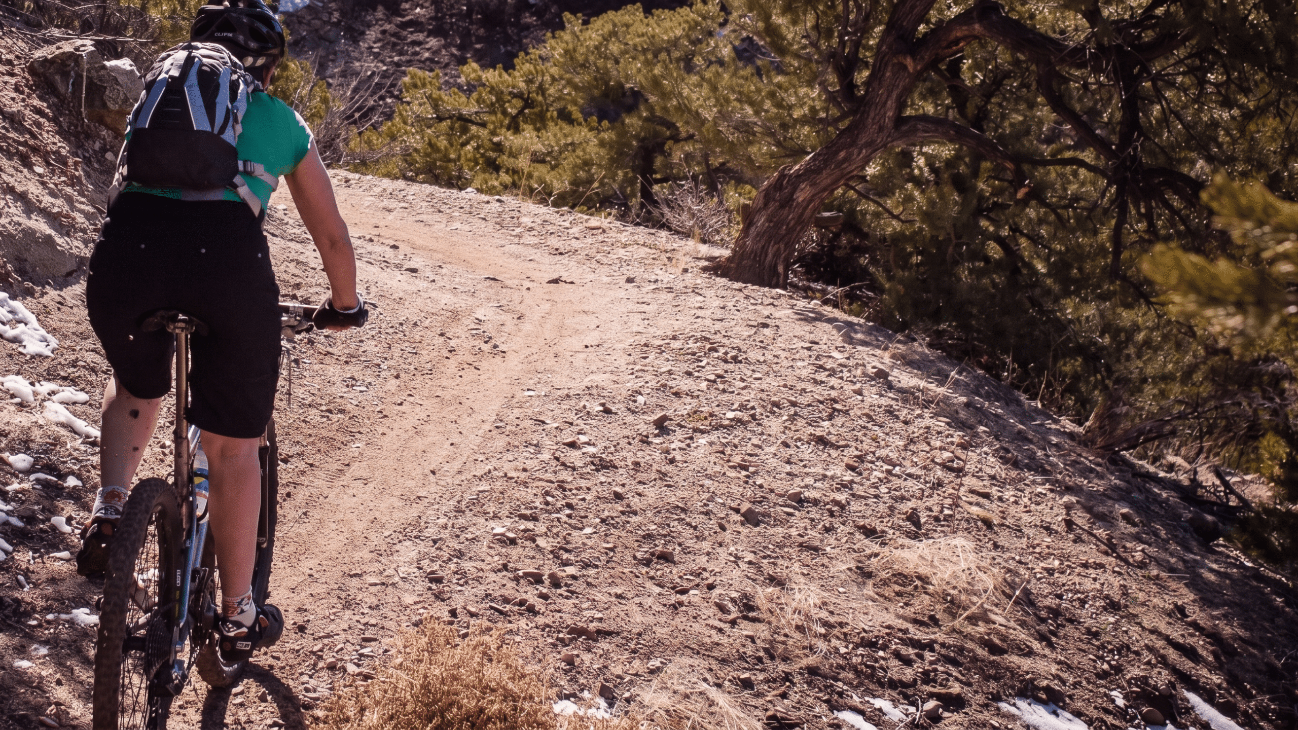 Cyclist riding mountain bike on rocky forest trail