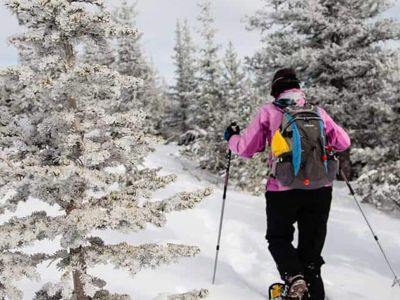 Middle_Fork_Creek_to_the_Lost_Wonder_Hut_scott_anderson_2010_12_27