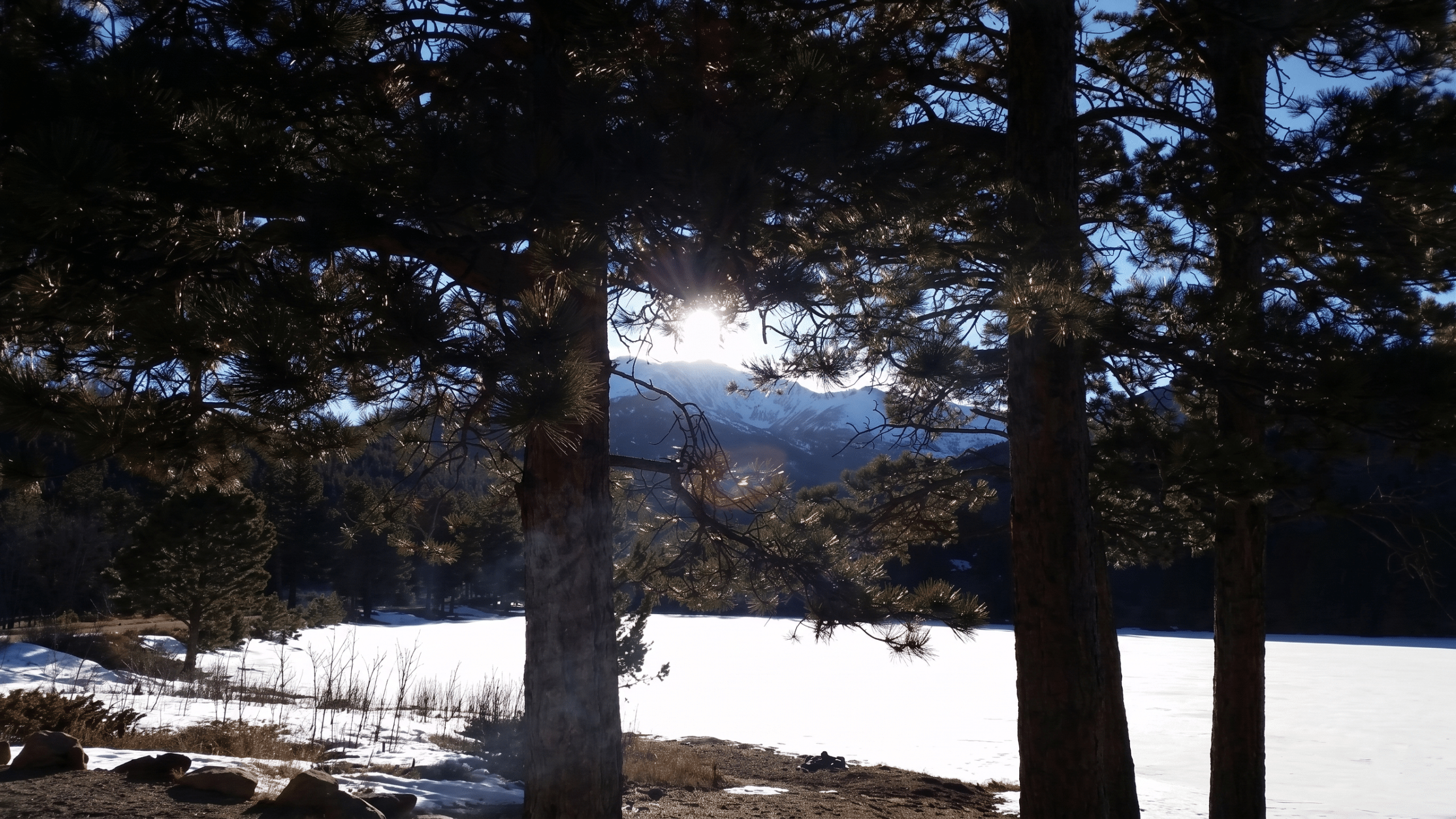 Sun shining through pine trees over snowy lake