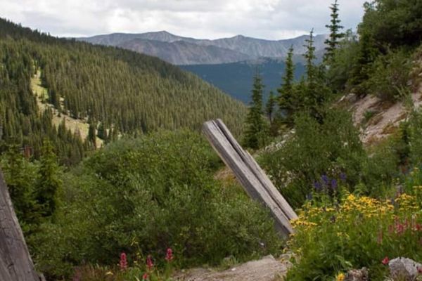 alpine_tunnel_2009_08_06