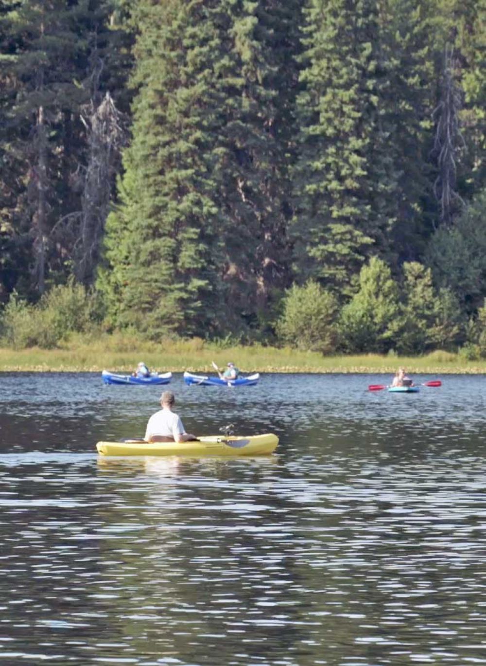 People kayaking on a lake near trees