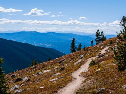 Monarch Crest Trail to Marshall Pass