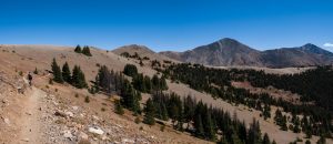 monarch crest trail: out and back
