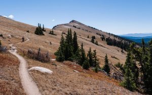 monarch crest trail: out and back