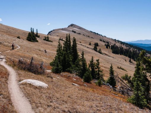 Monarch Crest Trail: Out and Back