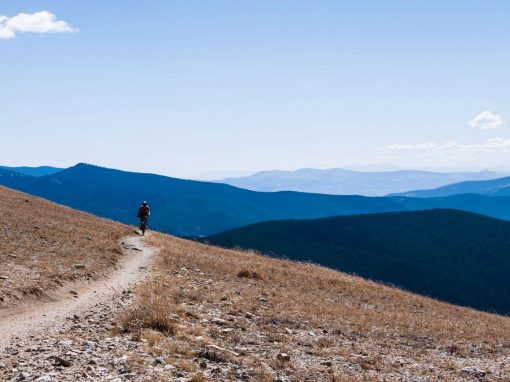 Monarch Crest Trail to Silver Creek