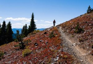 monarch crest trail to silver creek
