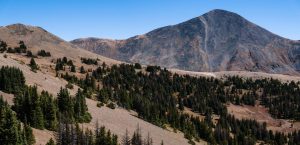 monarch crest trail to silver creek
