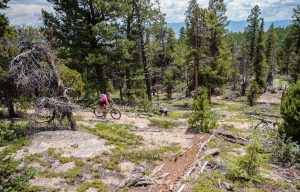 mt. princeton hot springs to cottonwood hot springs