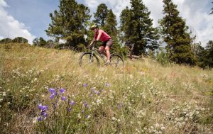 mt. princeton hot springs to cottonwood hot springs