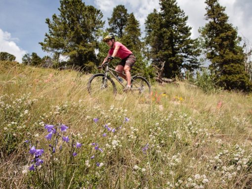 Mt. Princeton Hot Springs to Cottonwood Hot Springs