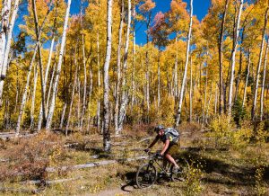 twin lakes to inter-laken loop