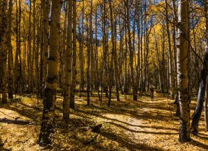 twin lakes to inter-laken loop