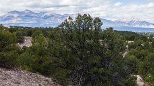 bear creek west to methodist mountain