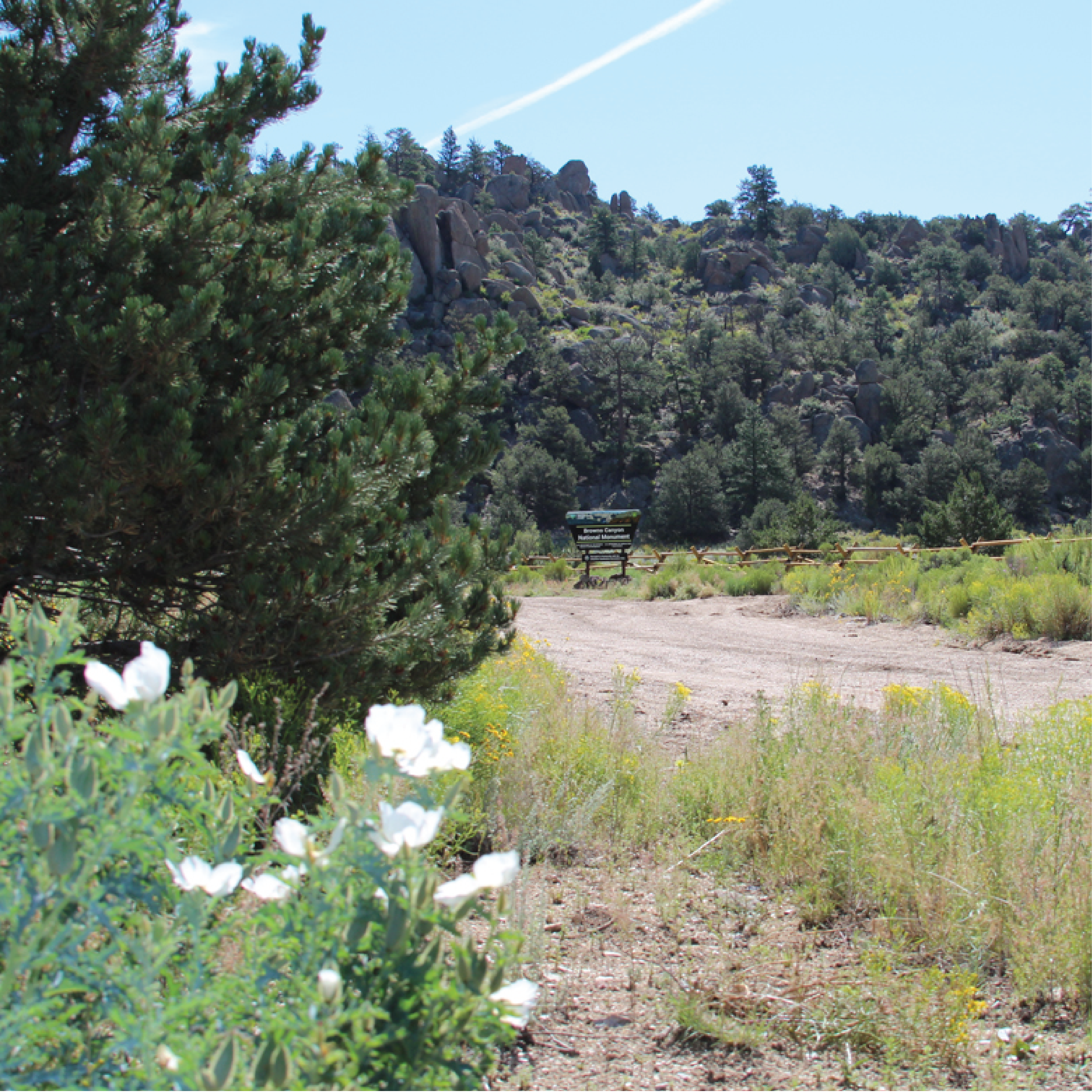 browns canyon hikes