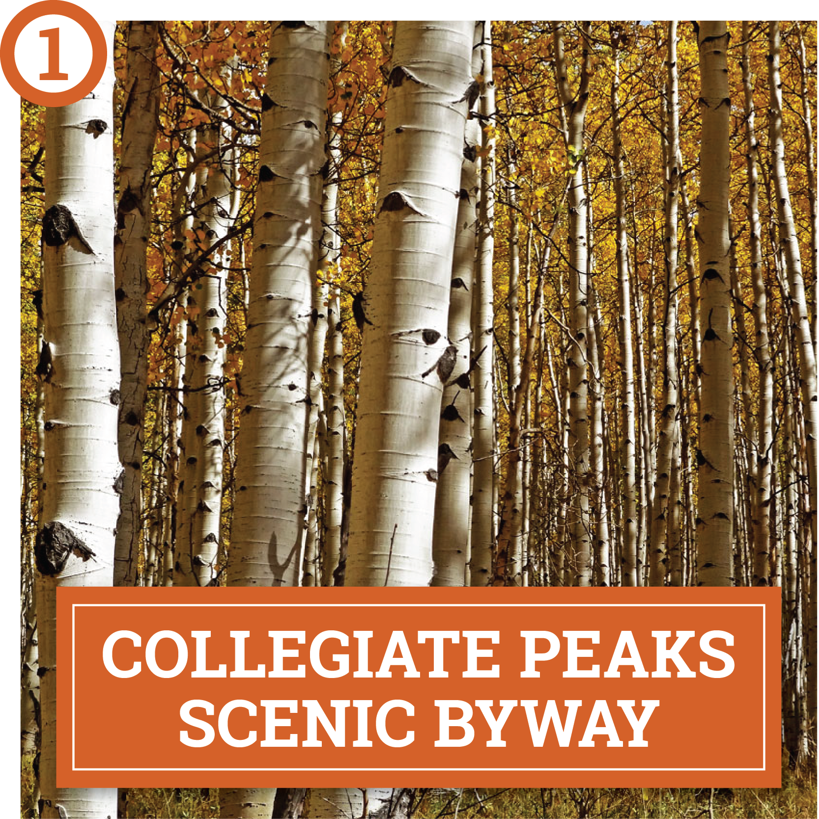 choose your own autumn adventure