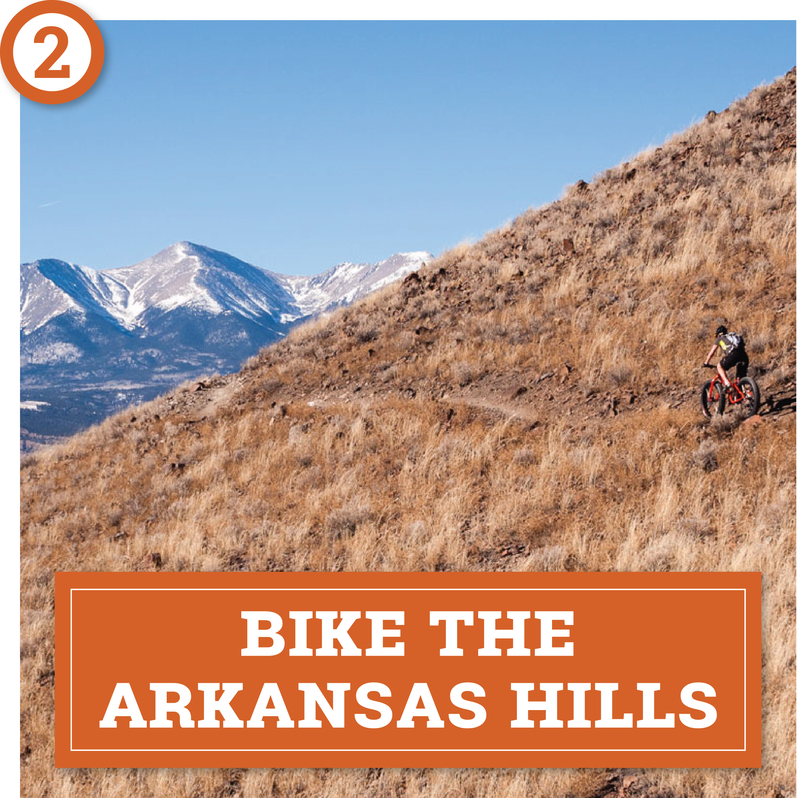 choose your own spring adventure