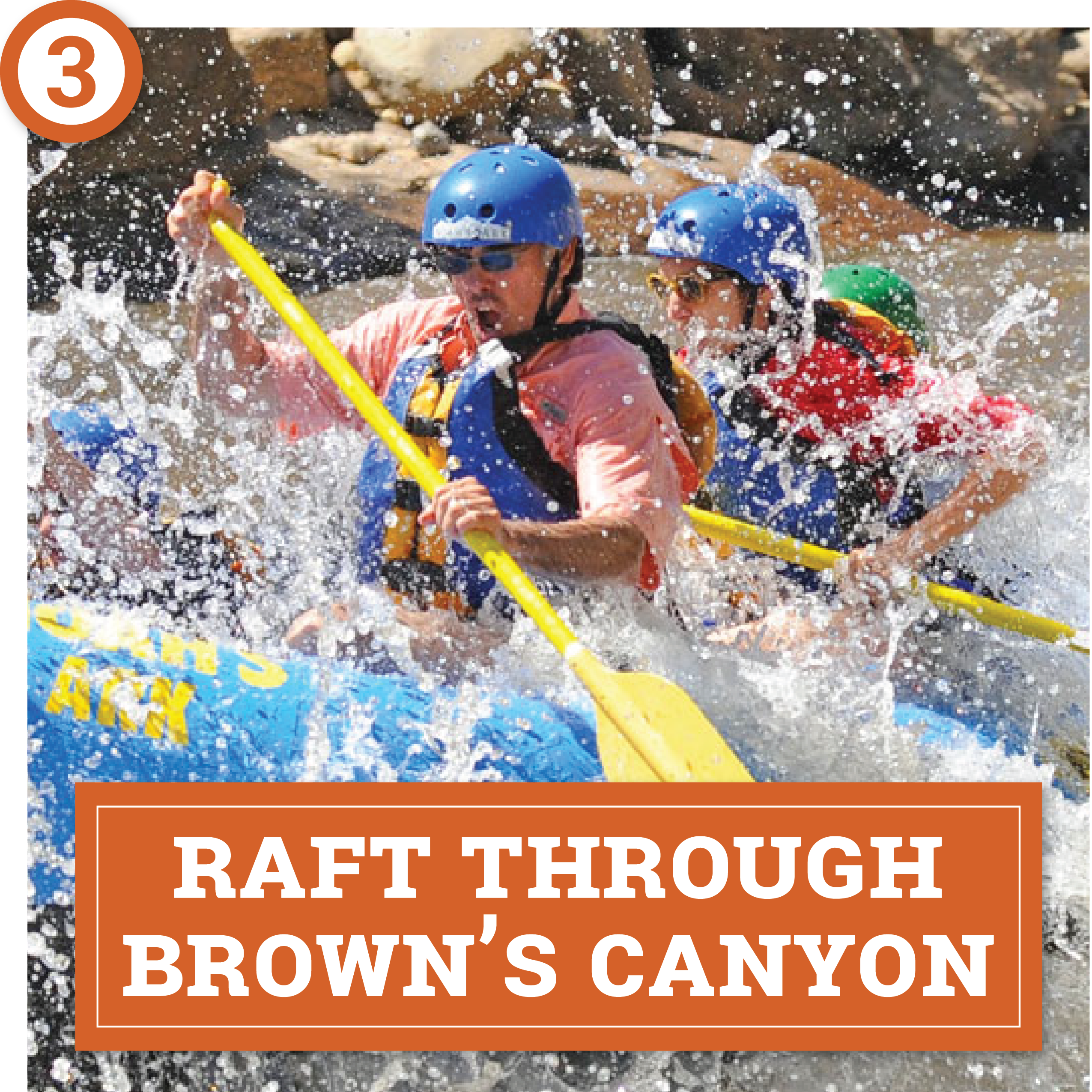 choose your own spring adventure