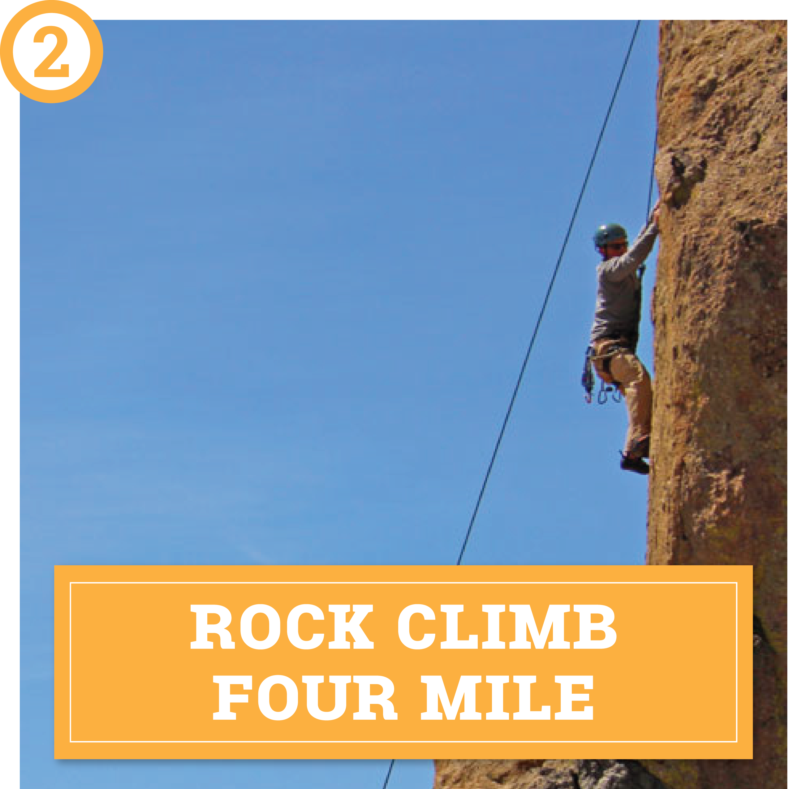 choose your own spring adventure