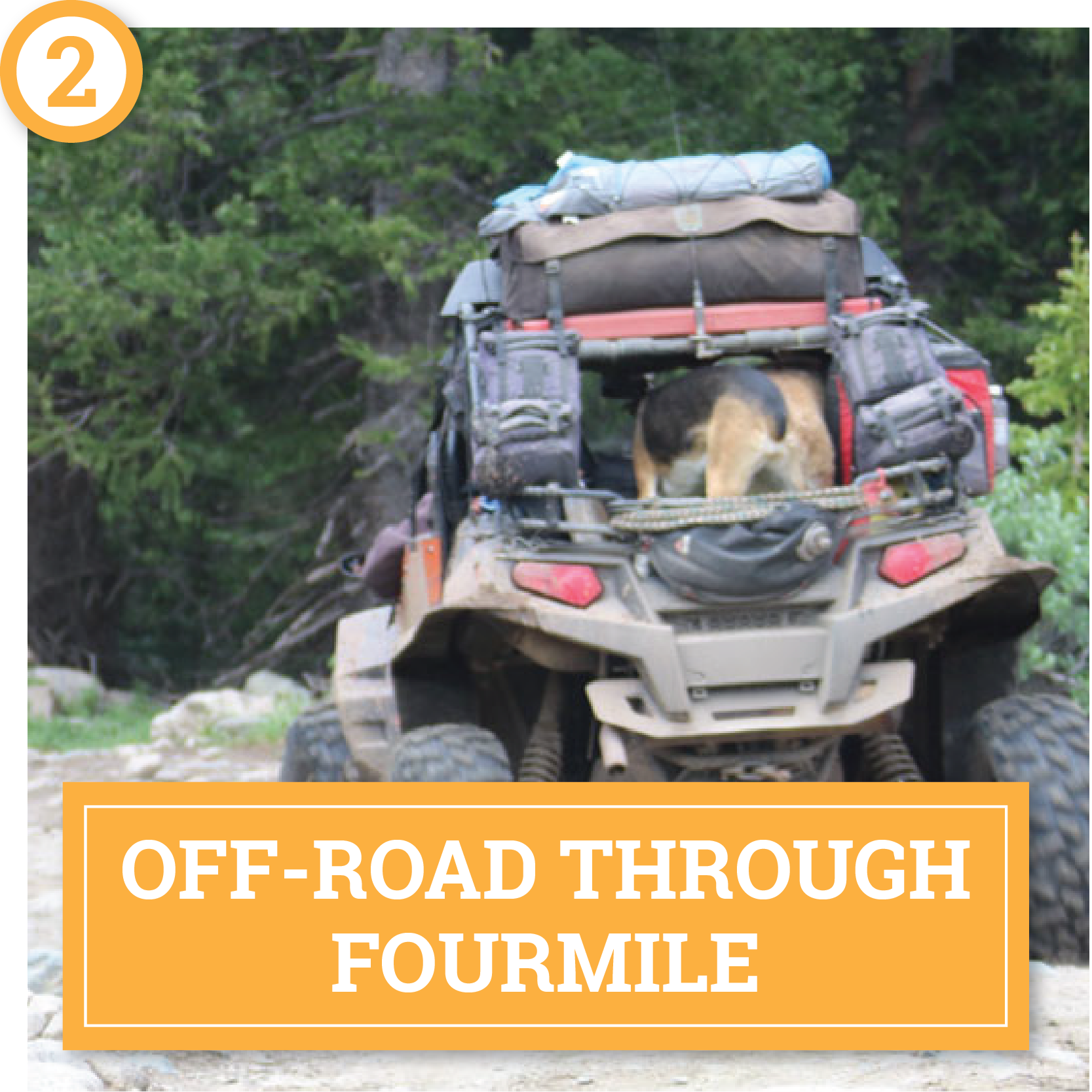 choose your own summer adventure