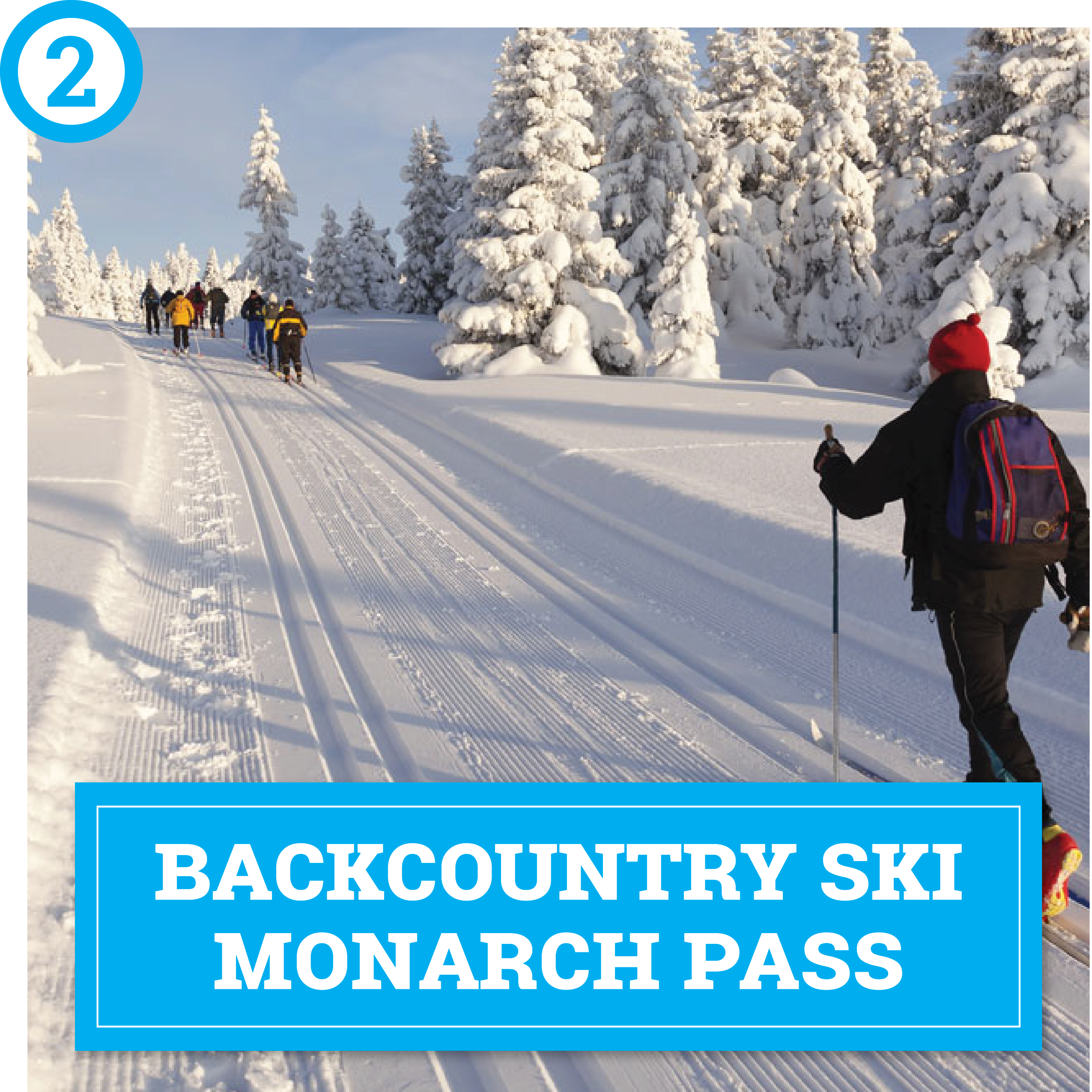 choose your own winter adventure