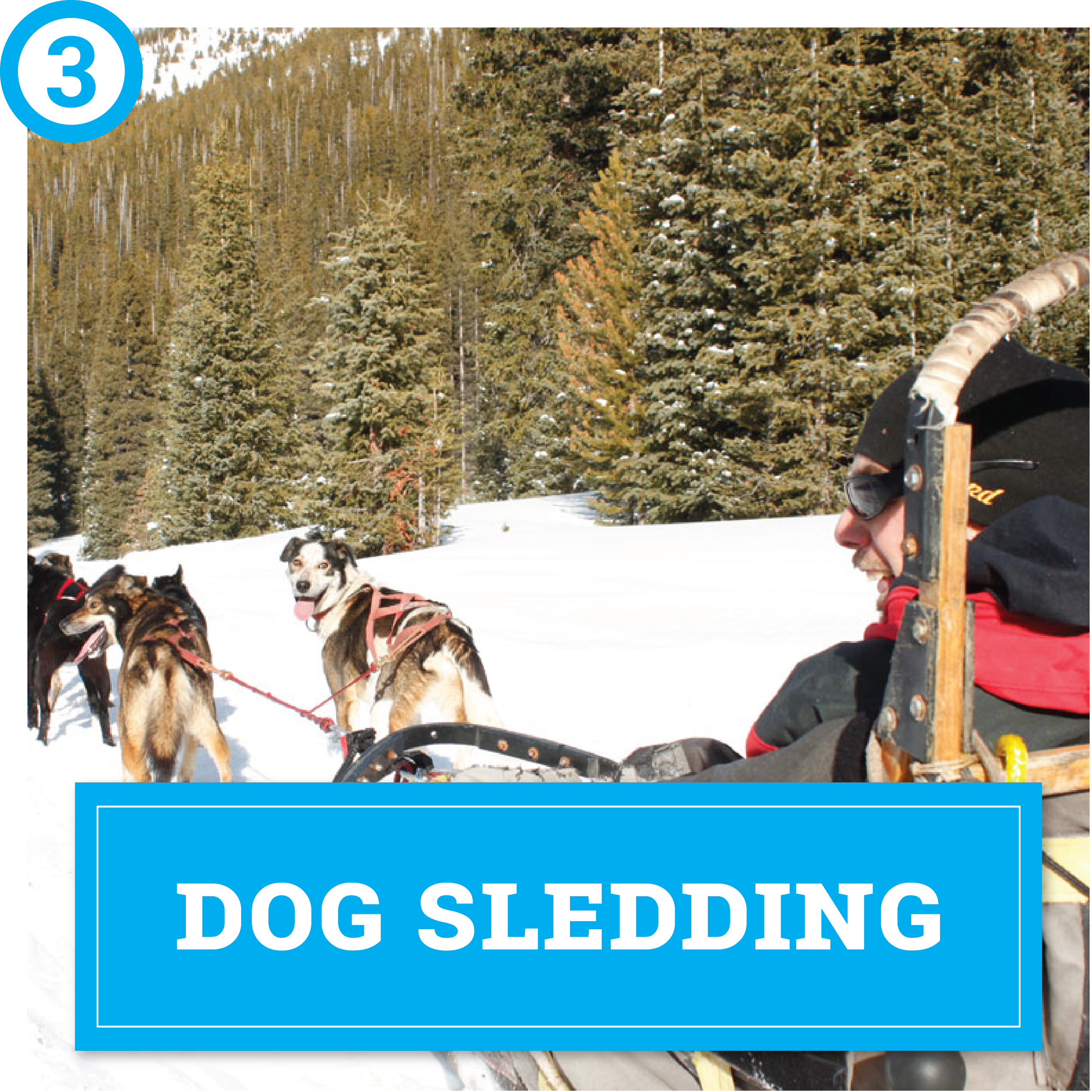 choose your own winter adventure